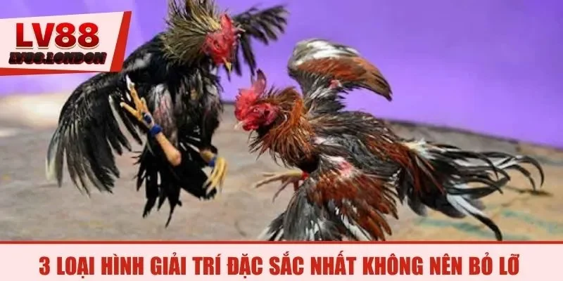 3 loại hình giải trí đặc sắc nhất không nên bỏ lỡ