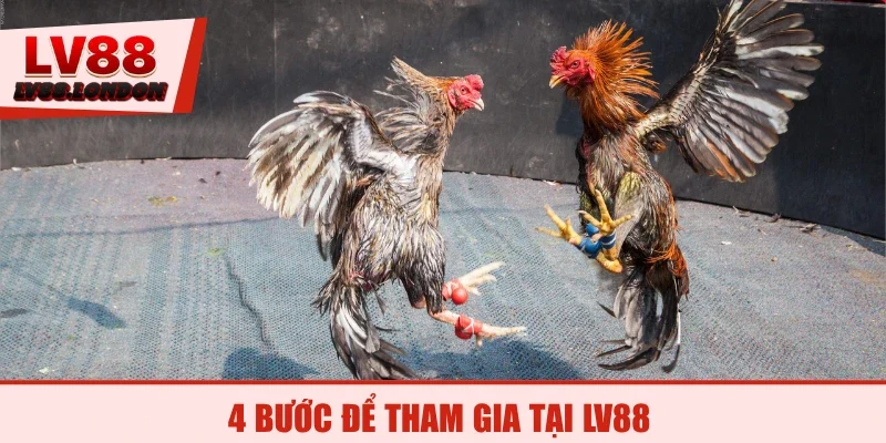 4 bước để tham gia tại LV88