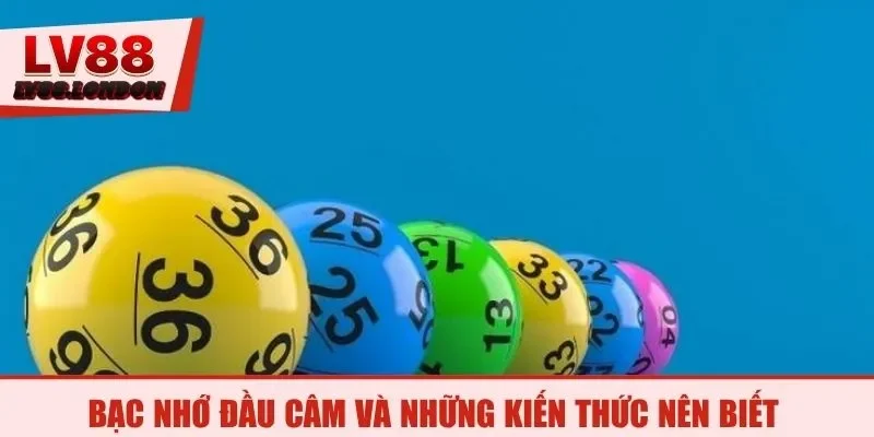 Bạc nhớ đầu câm và những kiến thức nên biết