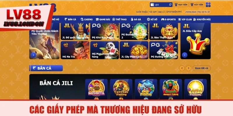 Các giấy phép mà thương hiệu đang sở hữu