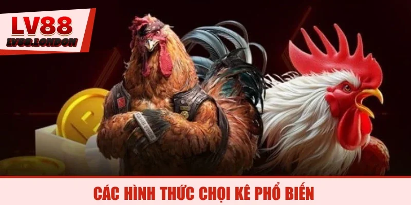 Các hình thức chọi kê phổ biến