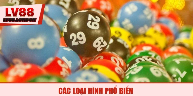 Các loại hình phổ biến