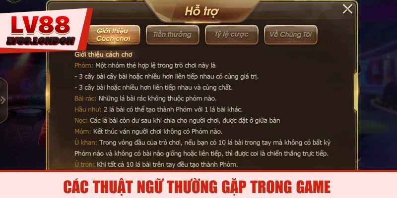 Các thuật ngữ thường gặp trong game