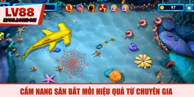 Cẩm nang săn bắt mồi hiệu quả từ chuyên gia