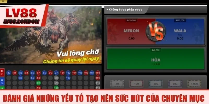 Đánh giá những yếu tố tạo nên sức hút của chuyên mục