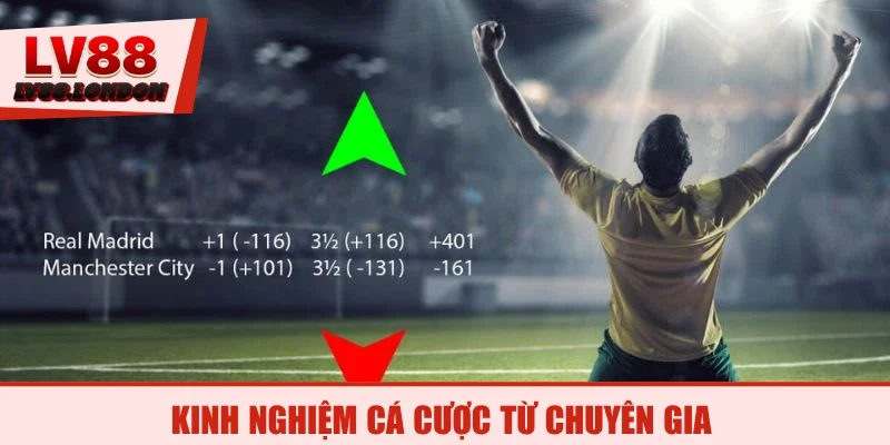 Kinh nghiệm cá cược từ chuyên gia