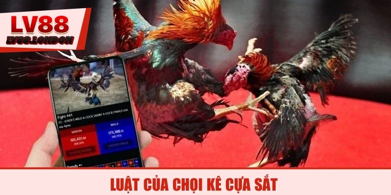 Luật của chọi kê cựa sắt