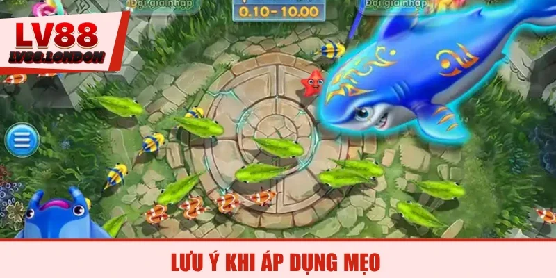 Lưu ý khi áp dụng mẹo