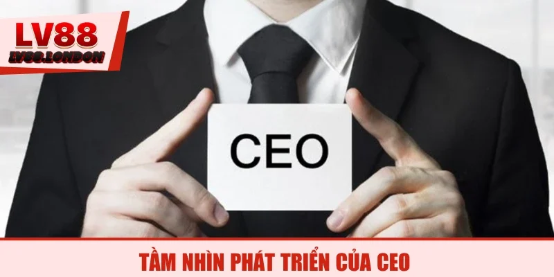 Tầm nhìn phát triển của CEO